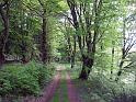 Walk-R23_007