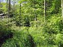 Walk-R23_012