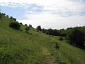 Walk-R24_027