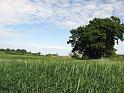 Walk-R24_031