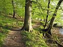 Walk-R25_038
