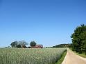 Walk-R29_001