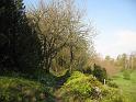 Walk-R29_033
