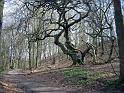 Walk-R2_005