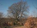 Walk-R30_0964
