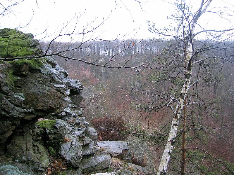 S16-B.jpg