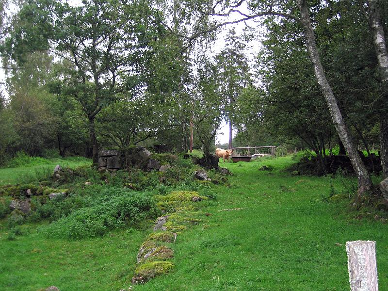 S23-A.jpg