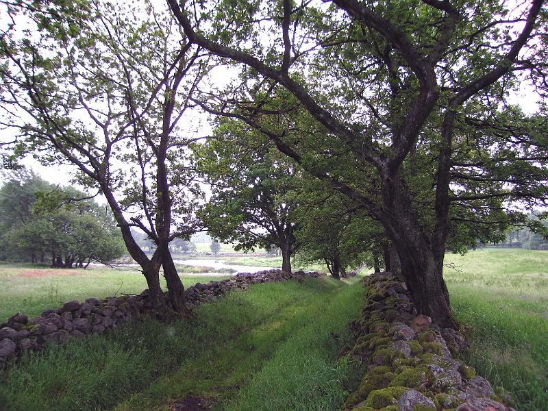 S3-F.jpg