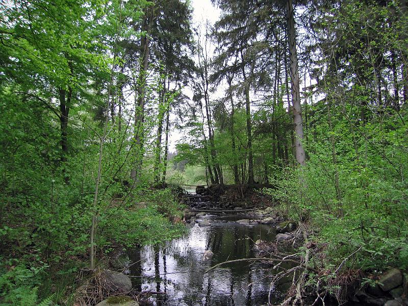 S9-C.jpg