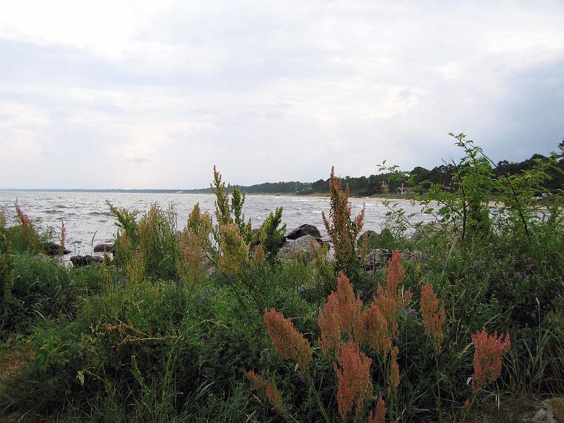 Walk-1-B.jpg