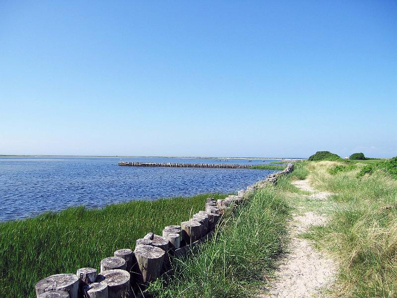 Walk-12-A.jpg