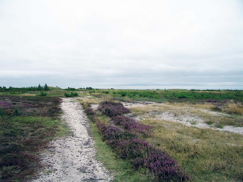 Walk-12-B.jpg