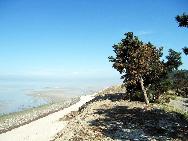 Walk-15-B.jpg