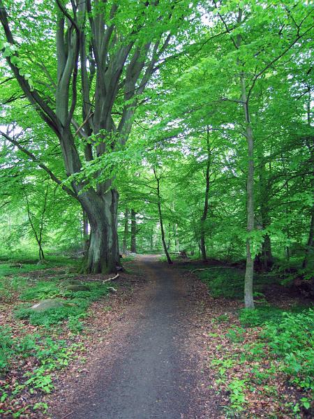 Walk-18-E.jpg