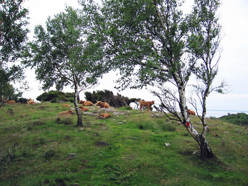 Walk-21-H.jpg