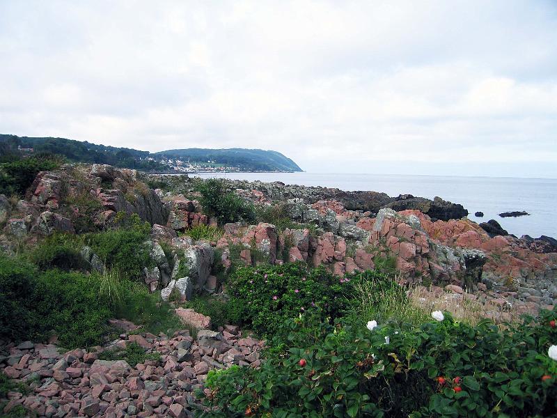 Walk-23-E.jpg