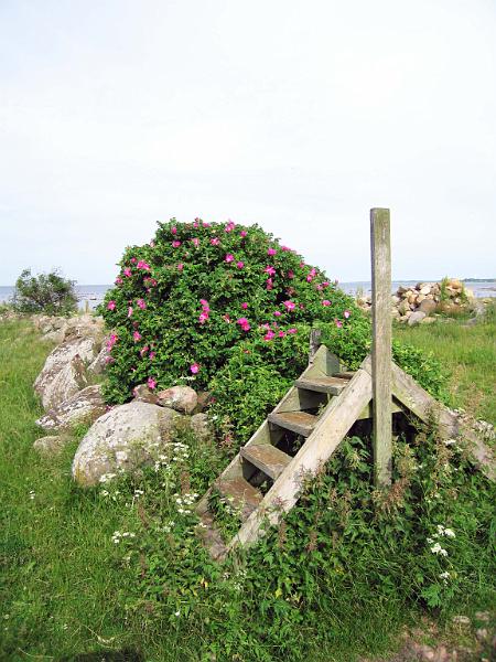 Walk-25-A.jpg