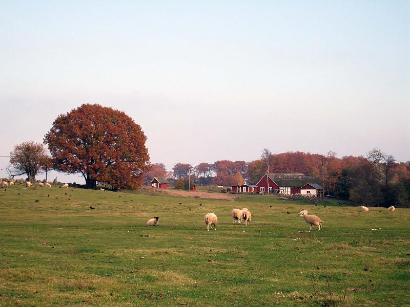 Walk-5-F.jpg