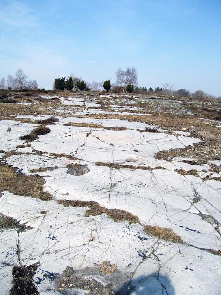 Walk-7-B.jpg