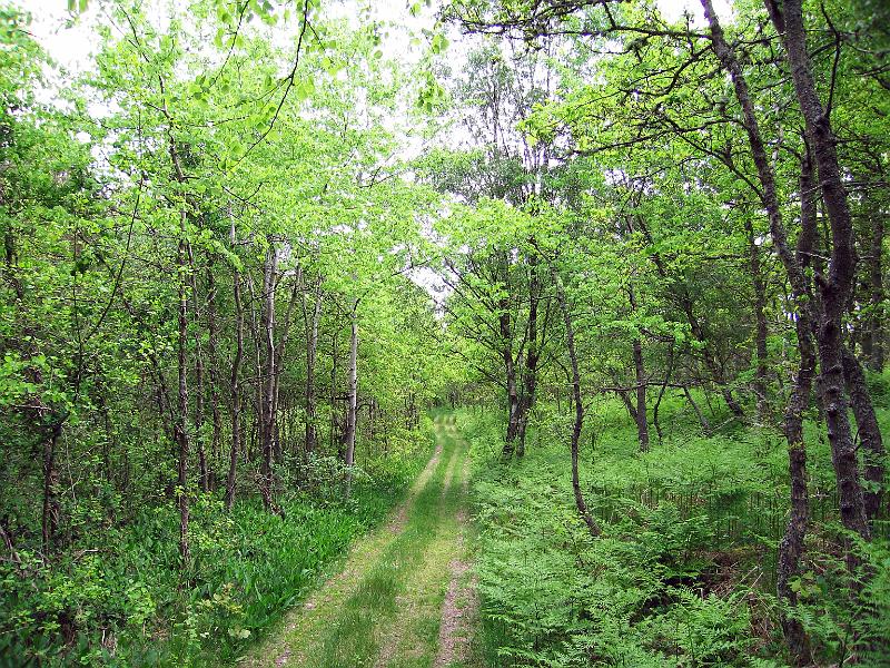 Walk-8-B.jpg