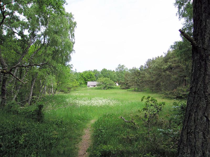 Walk-8-E.jpg