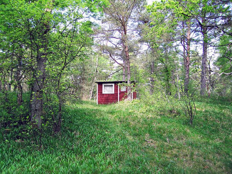 Walk-8-F.jpg