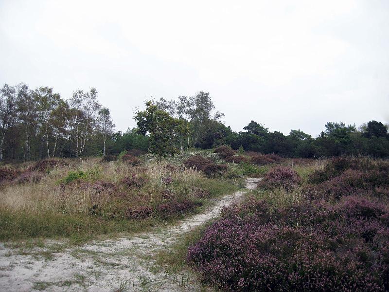 Walk-9-C.jpg