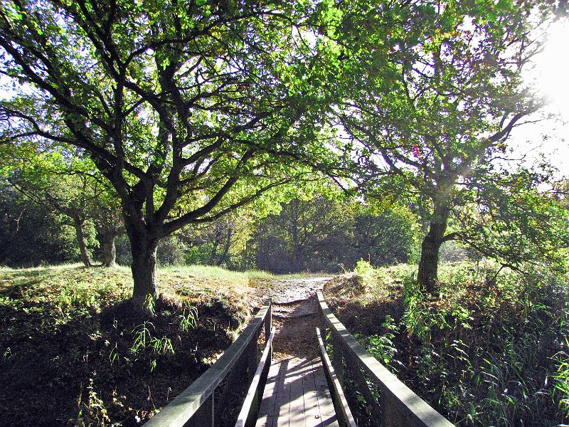 Walk-9-G.jpg