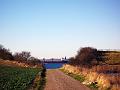 Walk-17-F