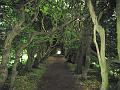 Walk-18-A