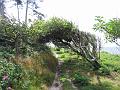 Walk-19-A