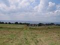 Walk-19_056
