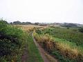 Walk-20-B
