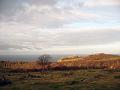 Walk-21-A