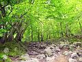 Walk-22-E