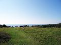 Walk-28-H