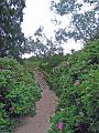 Walk-3-B