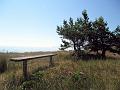 Walk-4-I