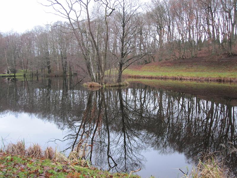 RP13_14.JPG
