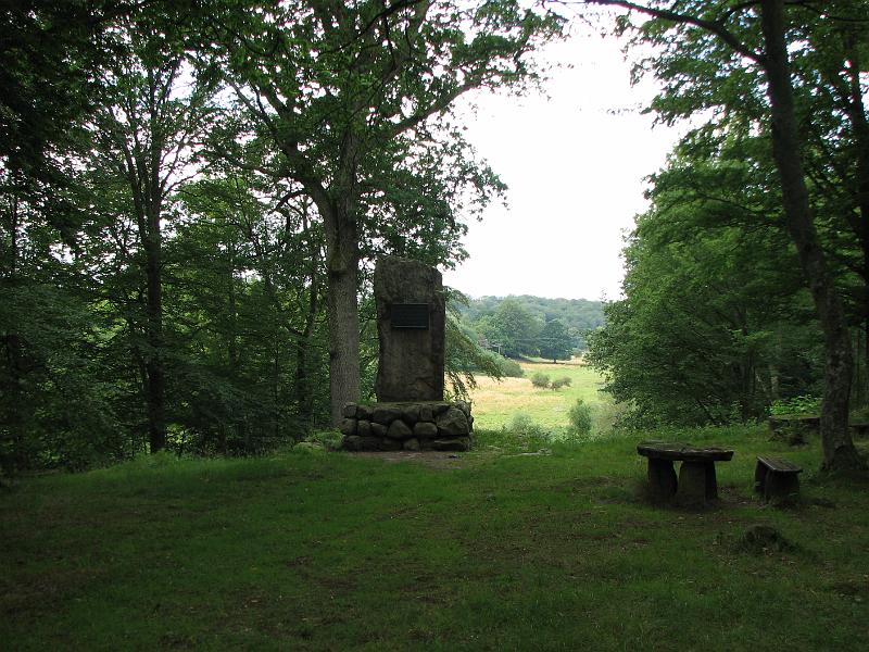 RP13_16.JPG
