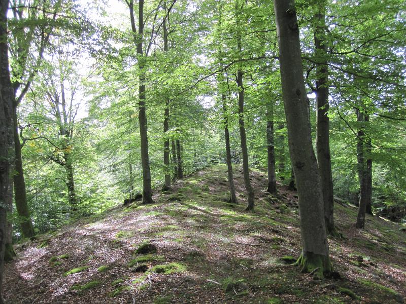 RP17_05.JPG