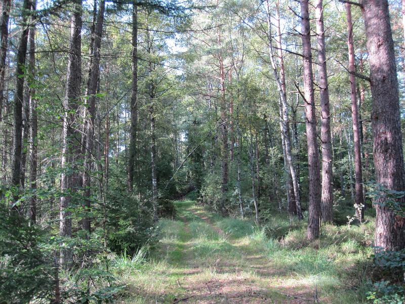 RP19_04.JPG