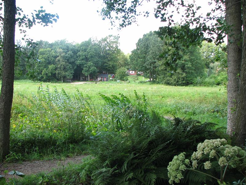 RP22_03.JPG