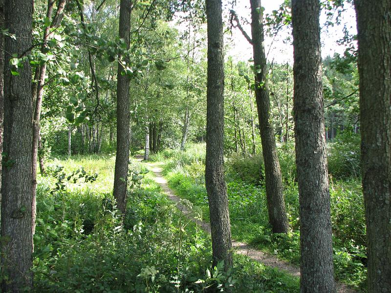 RP22_04.JPG