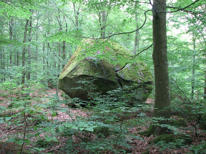RP26_04.JPG
