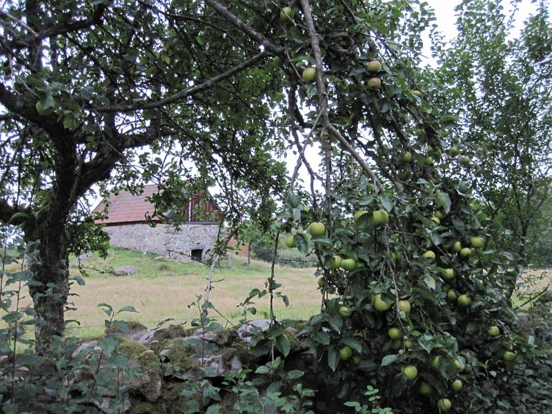 RP28_09.JPG