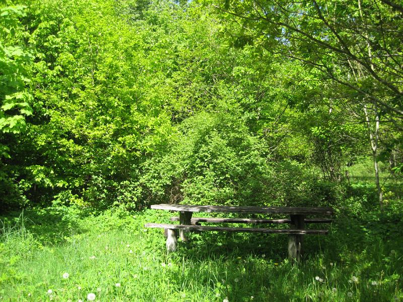 RP3_09.JPG