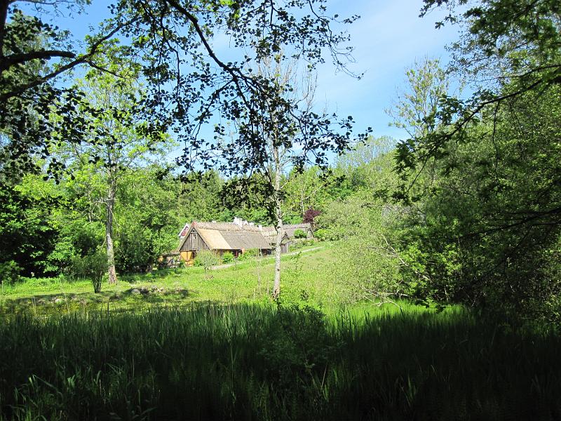 RP5_02.JPG