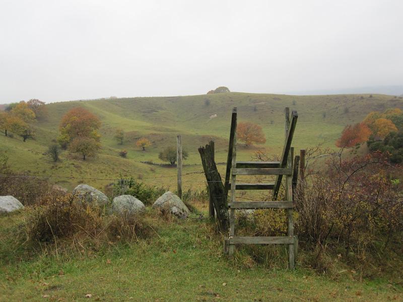 RP6_10.JPG