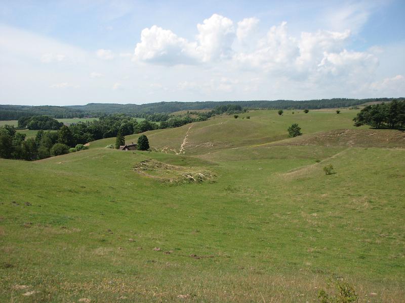 RP7_01.JPG